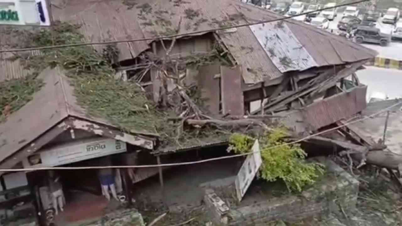 Himachal Pradesh Weather: मनाली में तूफान ने मचाई तबाही, देवदार के पेड़ गिरे, कई वाहन क्षतिग्रस्त