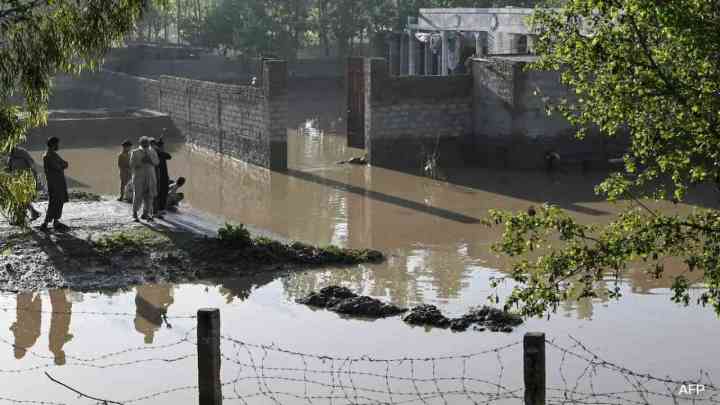 Heavy Rain In Pakistan: पाकिस्तान में बारिश ने मचाई तबाही, 87 लोगों की मौत, कई घायल
