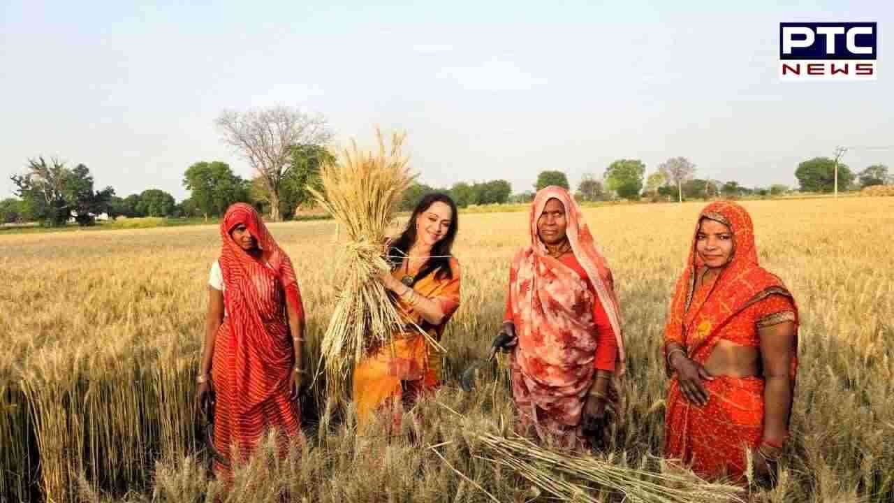 तपती दोपहरी में खेतों में पहुंची हेमा मालिनी, महिलाओं संग काटी गेहूं, देखें तस्वीरें