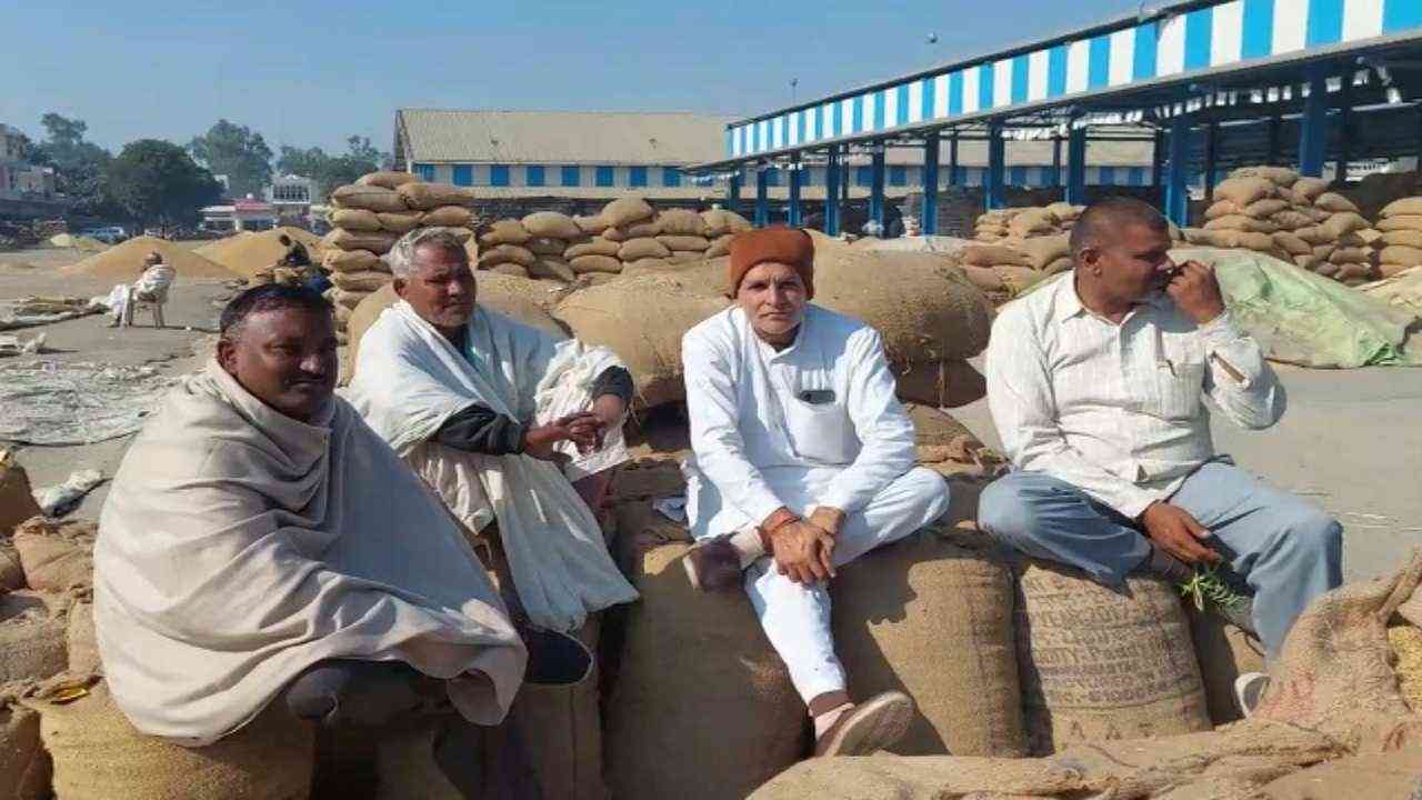 Haryana: सोनीपत में अनाज मंडी गोहाना के गेट पर किसानों ने जड़ा ताला, सरसों की खरीद नहीं होने का लगाया आरोप