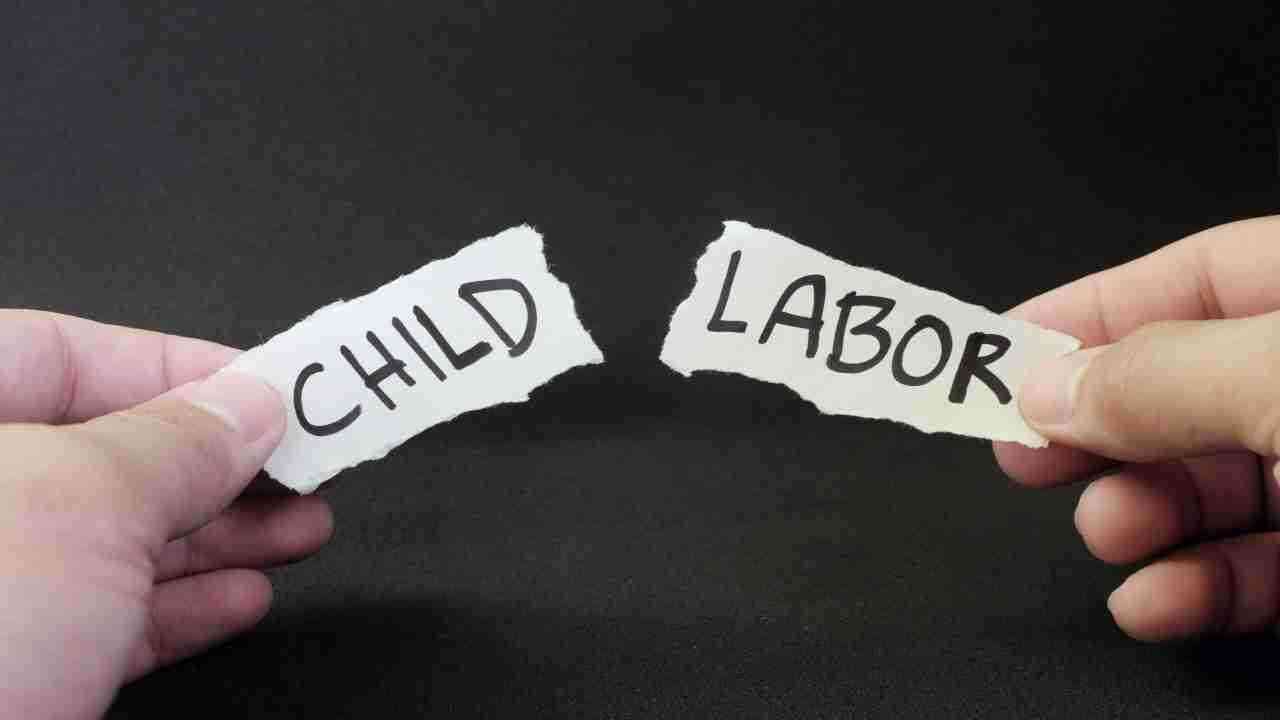 क्या है World Day Against Child Labour, जानिए इसकी थीम और इतिहास