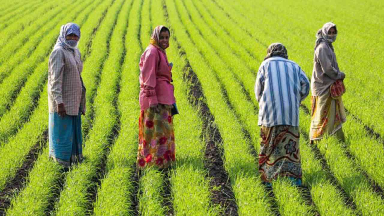 Budget 2024: सीतारमण ने कृषि को बढ़ावा देने के लिए उठाया कदम, 1.52 लाख करोड़ रुपये किए आवंटित
