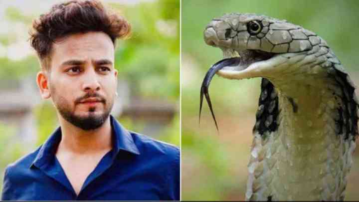 Snake Venom Case: एल्विश यादव की बढ़ी मुश्किलें, ED ने पूछताछ के लिए बुलाया लखनऊ