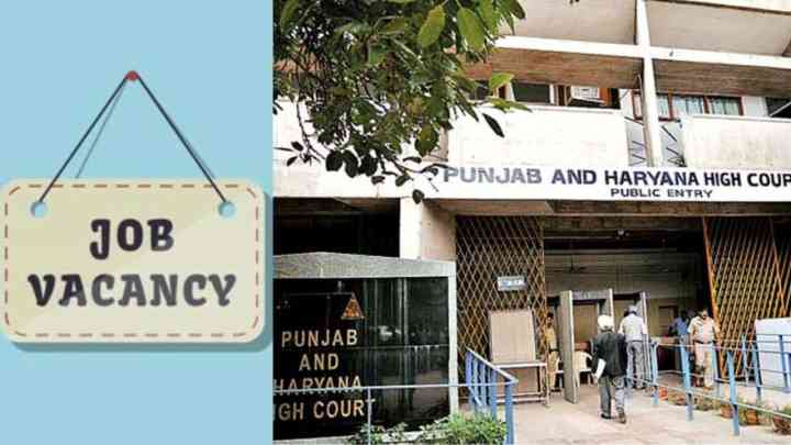 Punjab and Haryana High Court Recruitment 2024: 12वीं पास के लिए 300 पदों पर भर्ती, ऐसे करें अप्लाई