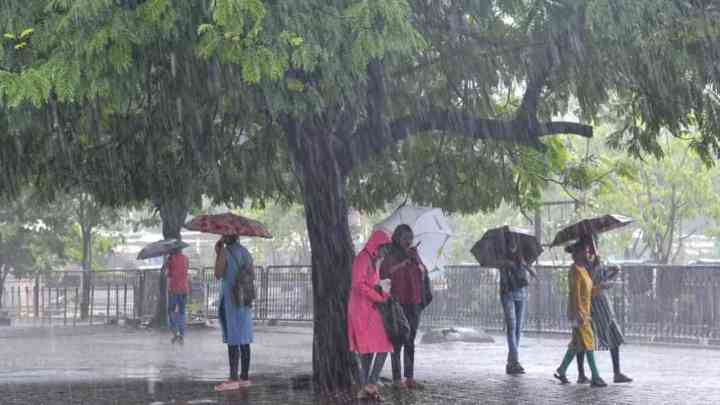 Rainfall forecast: IMD ने इन राज्यों के लिए ऑरेंज अलर्ट किया जारी, दिल्ली में हल्की बारिश का अनुमान