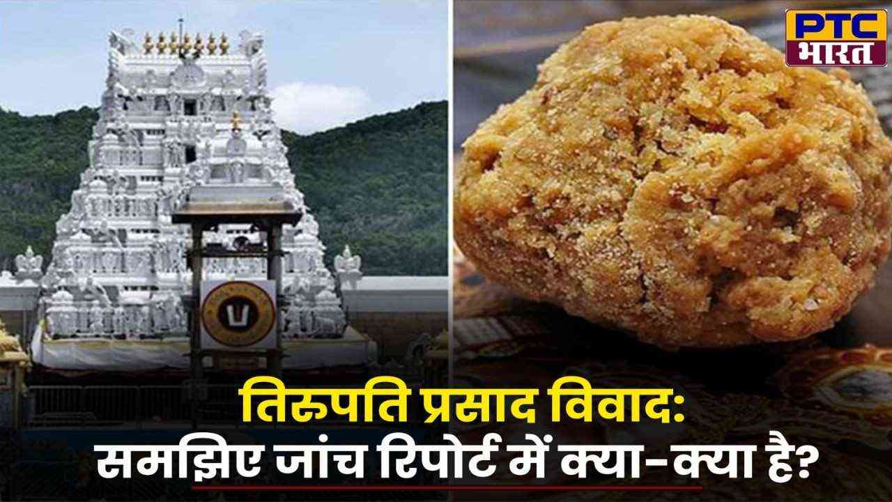 Tirupati Prasadam विवाद: समझिए जांच रिपोर्ट में क्या-क्या है?