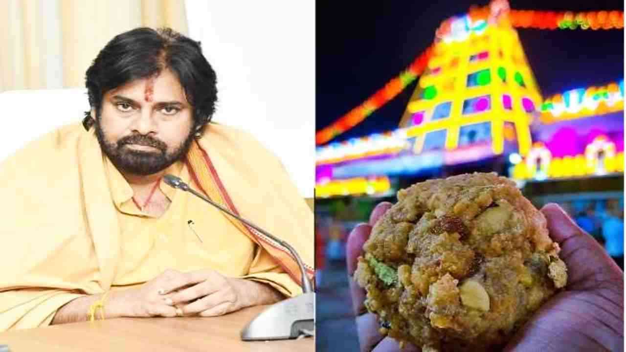 Tirupati Laddu Controversy: भगवान वेंकटेश्वर को प्रसन्न करने के लिए पवन कल्याण करेंगे 11 दिन की तपस्या