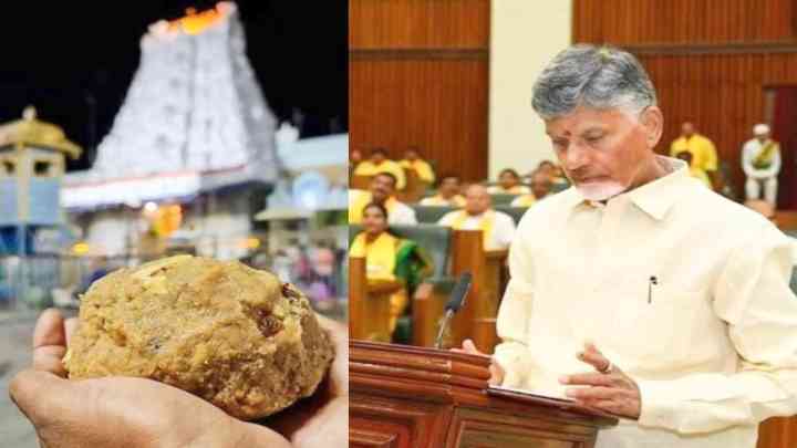 Tirupati Laddu Row: केंद्रीय स्वास्थ्य मंत्रालय ने आंध्र प्रदेश सरकार से मांगी रिपोर्ट, FSSAI करेगी गहनता से जांच